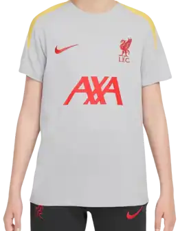 Liverpool FC Strike Derde Shirt