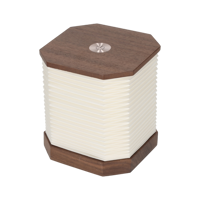Accordeon LED Lamp