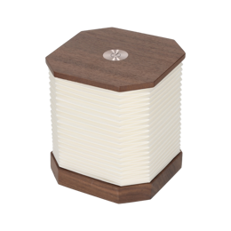 Accordeon LED Lamp