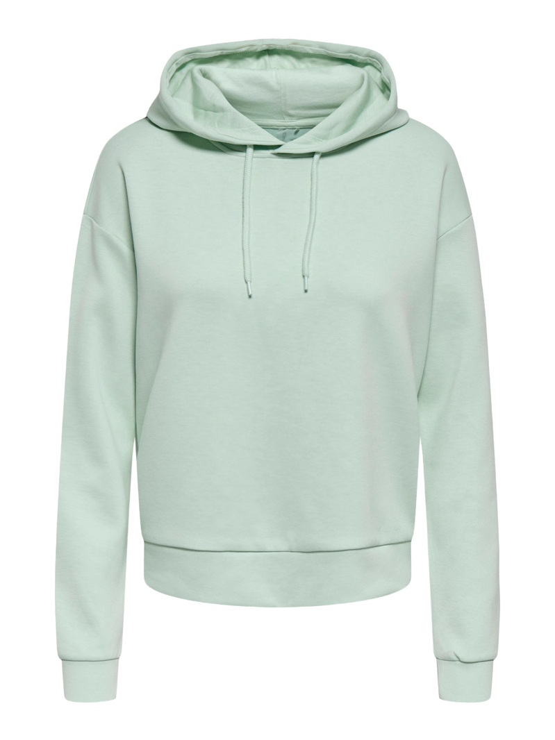 Onp Lounge Hood Ls Swt