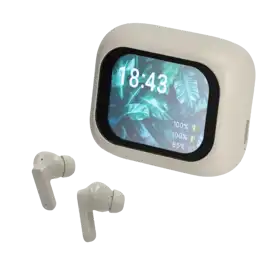 ANC/ENC Display Earbuds