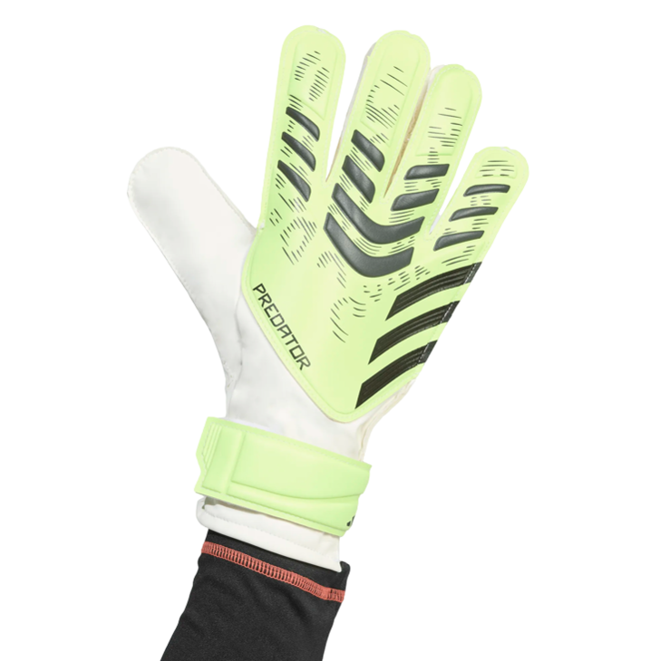 Predator Training Keepershandschoenen