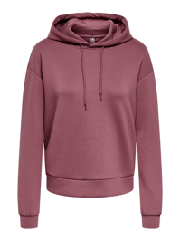Onp Lounge Hood Ls Swt