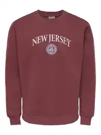 Connor College Rlx Ls Crew Neck