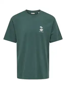 Vibes Life Rlx Ss Tee Cs