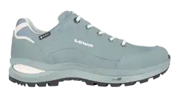 Renegade Evo GTX Lo Wandelschoenen