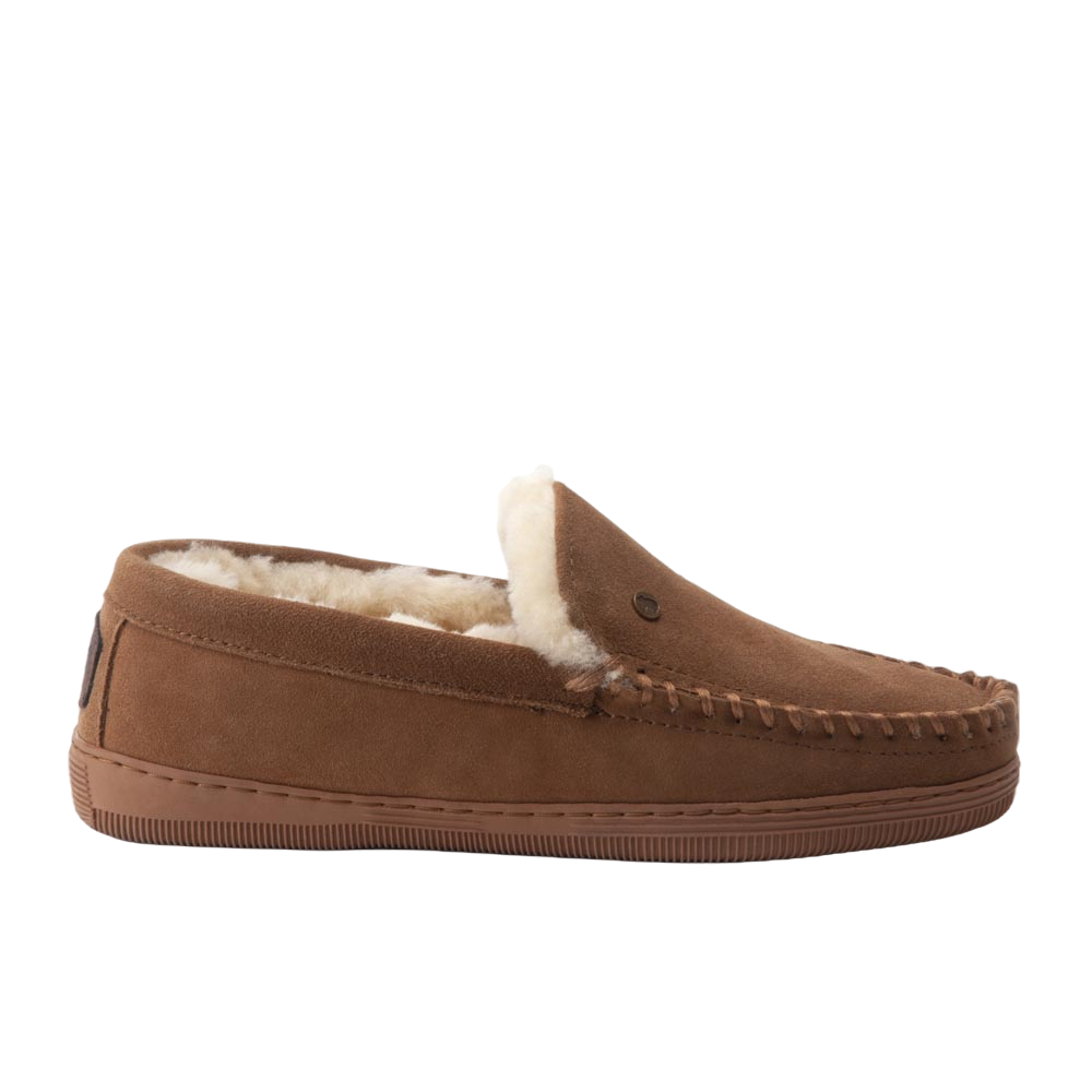 Grizzly Pantoffel