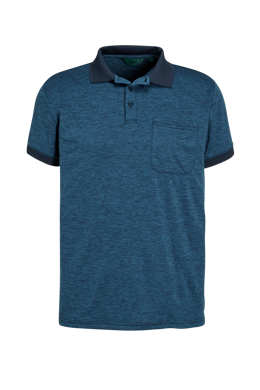 Fons Polo