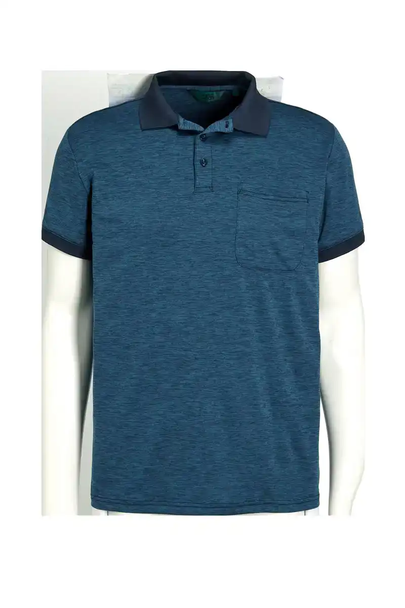 Fons Polo