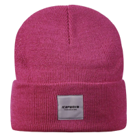 Hanahan Beanie