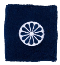 Wristband