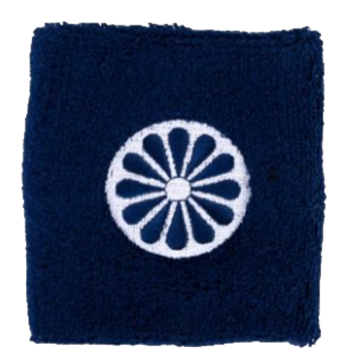 Wristband