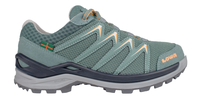 Lowa Innox Pro 4Daagse GTX Wandelschoen Dames