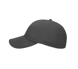 Clarion Pet