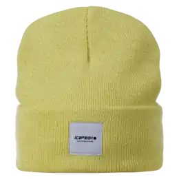 Hanahan Beanie
