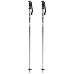 Power Composite Skistok