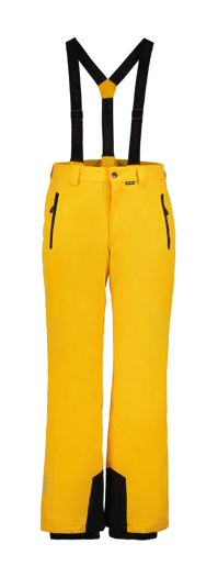 Freiberg Broek