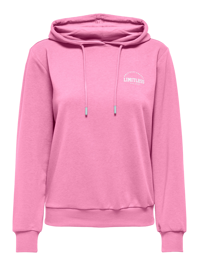 Cava Hoodie