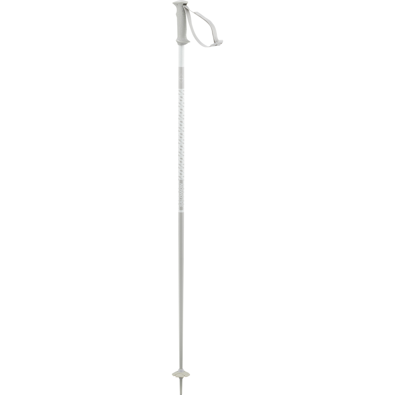 Polar Access Skistok