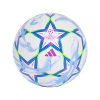 UEFA Champions League Training Voetbal