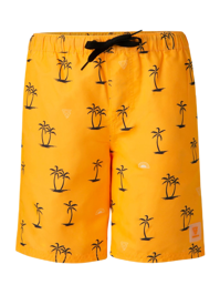 Hesty Swimshort