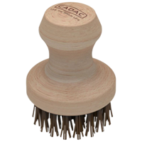 GreenGrill Brush
