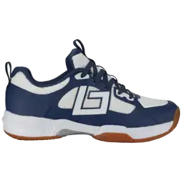 Shoe Indoor Tribute