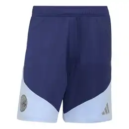 Ajax Amsterdam Trainingsbroekje 26/27 Senior