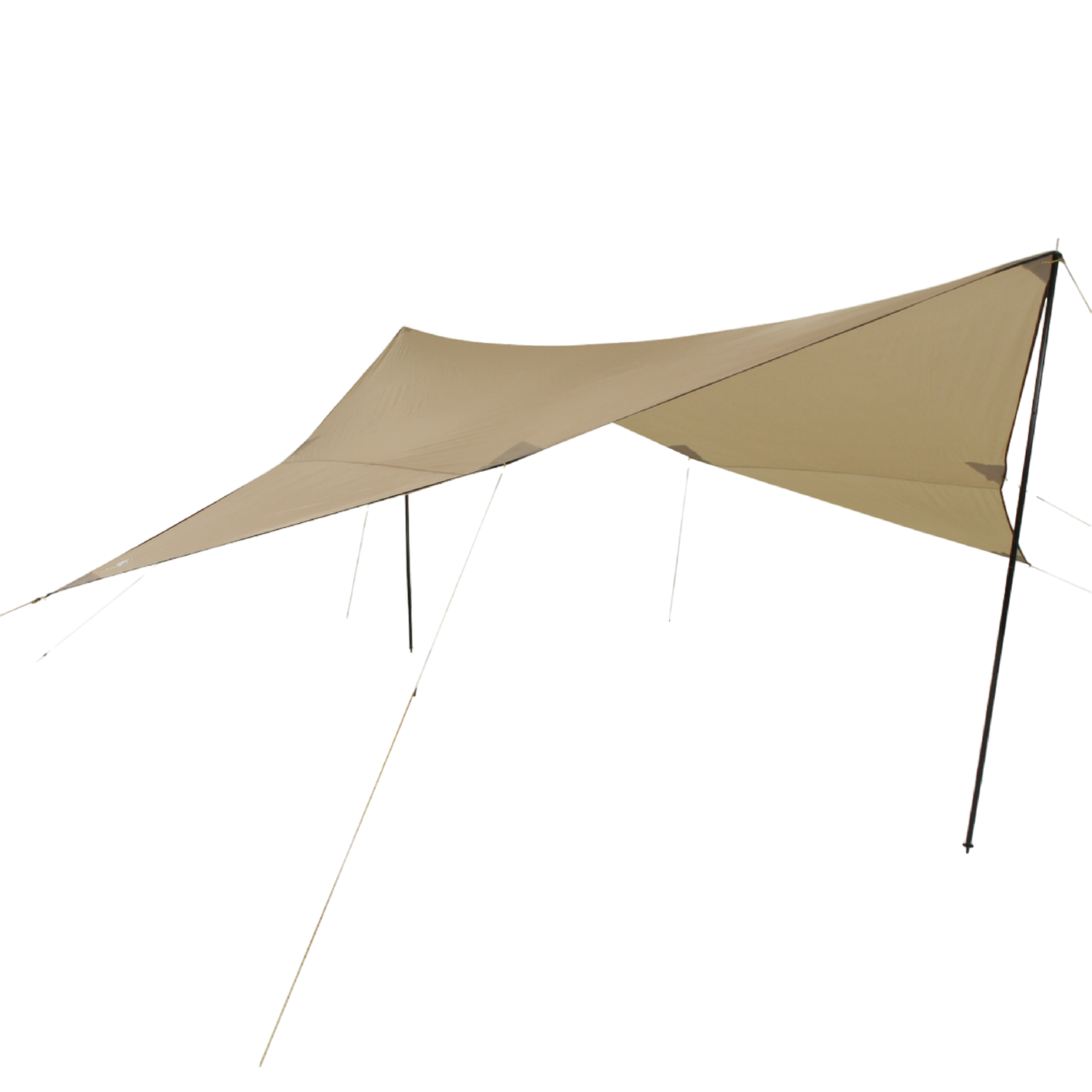 Tarp Polyester 3x4 meter