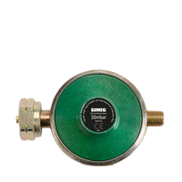 Universele Gasdrukregelaar 1/4 Inch Links 30Mbar