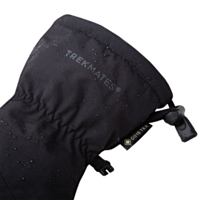 Chamonix GTX Want Dames
